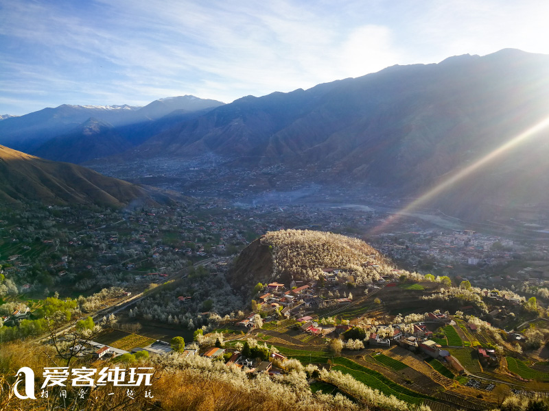 金川梨花4 金川梨花4