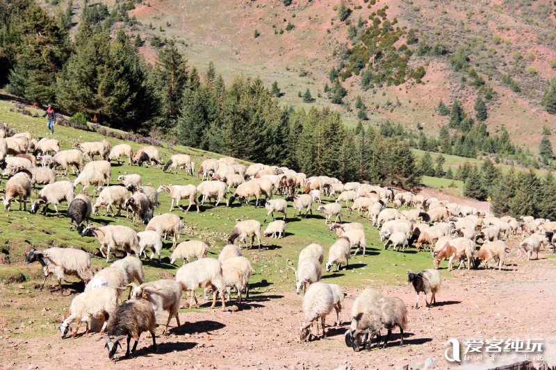 拉烏山 (4) 拉烏山 (4)