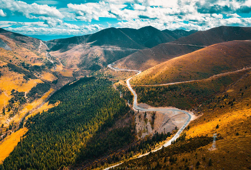 稻城青楊林-川西旅游的最好季節 (3)