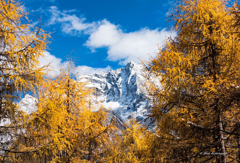 成都到畢棚溝包車/拼車攻略(4)
