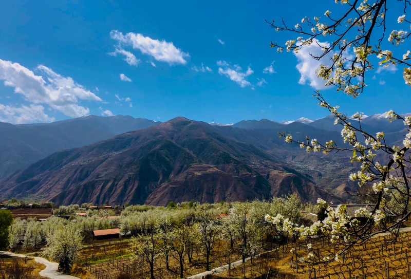 金川梨花-(14) 金川梨花-(14)