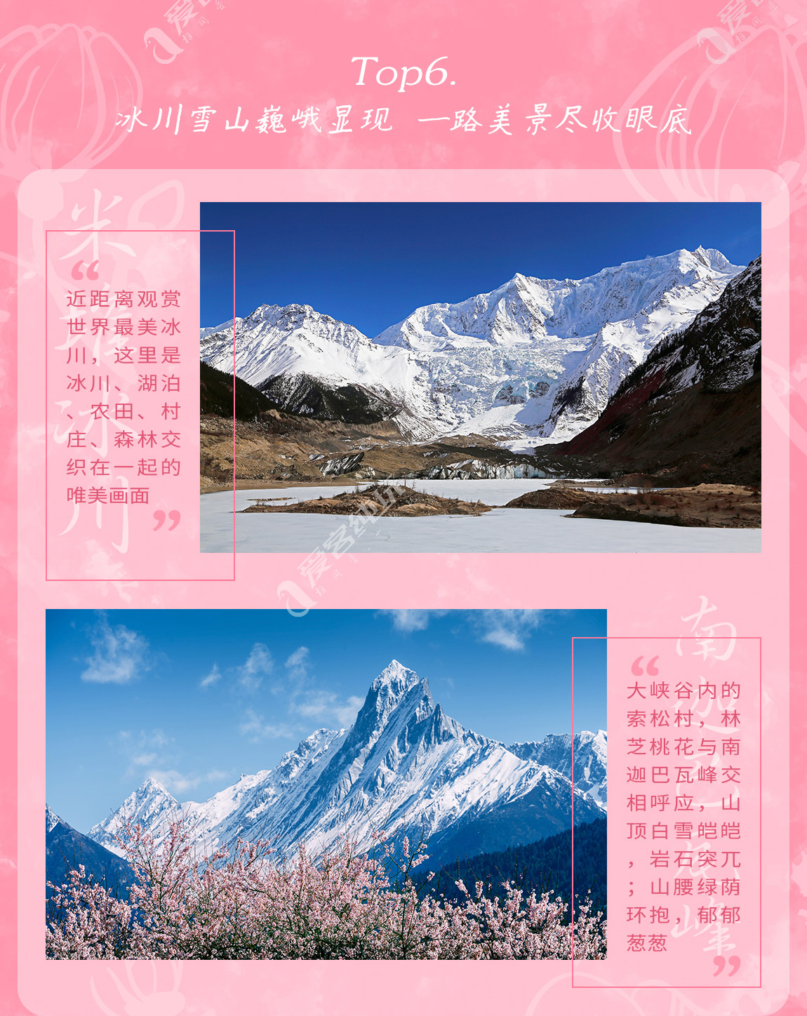 藏地尋花_第一部分_07 藏地尋花_第一部分_07