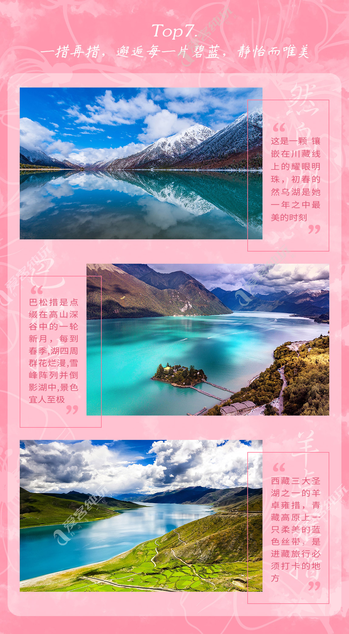 藏地尋花_第一部分_08 藏地尋花_第一部分_08