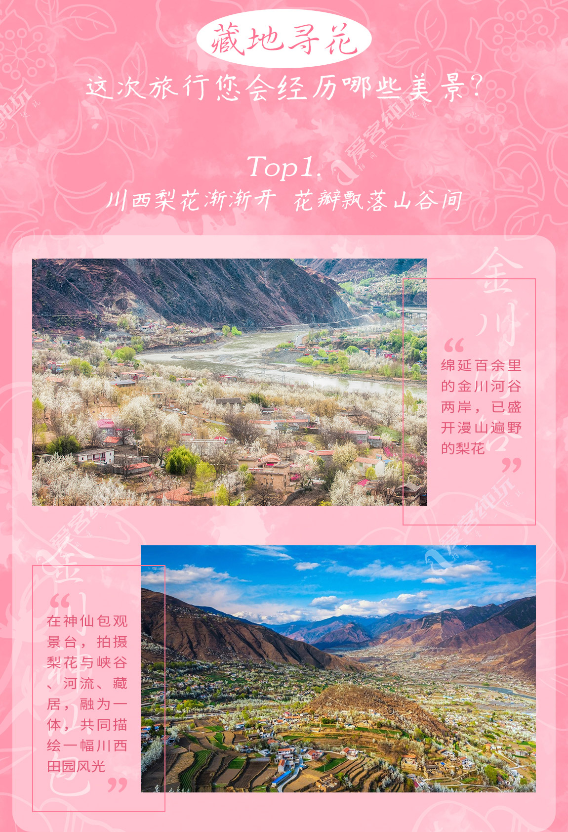 藏地尋花_第一部分_02 藏地尋花_第一部分_02