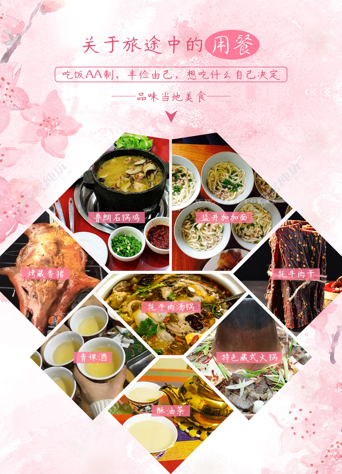 藏地尋花_第三部分_04 藏地尋花_第三部分_04