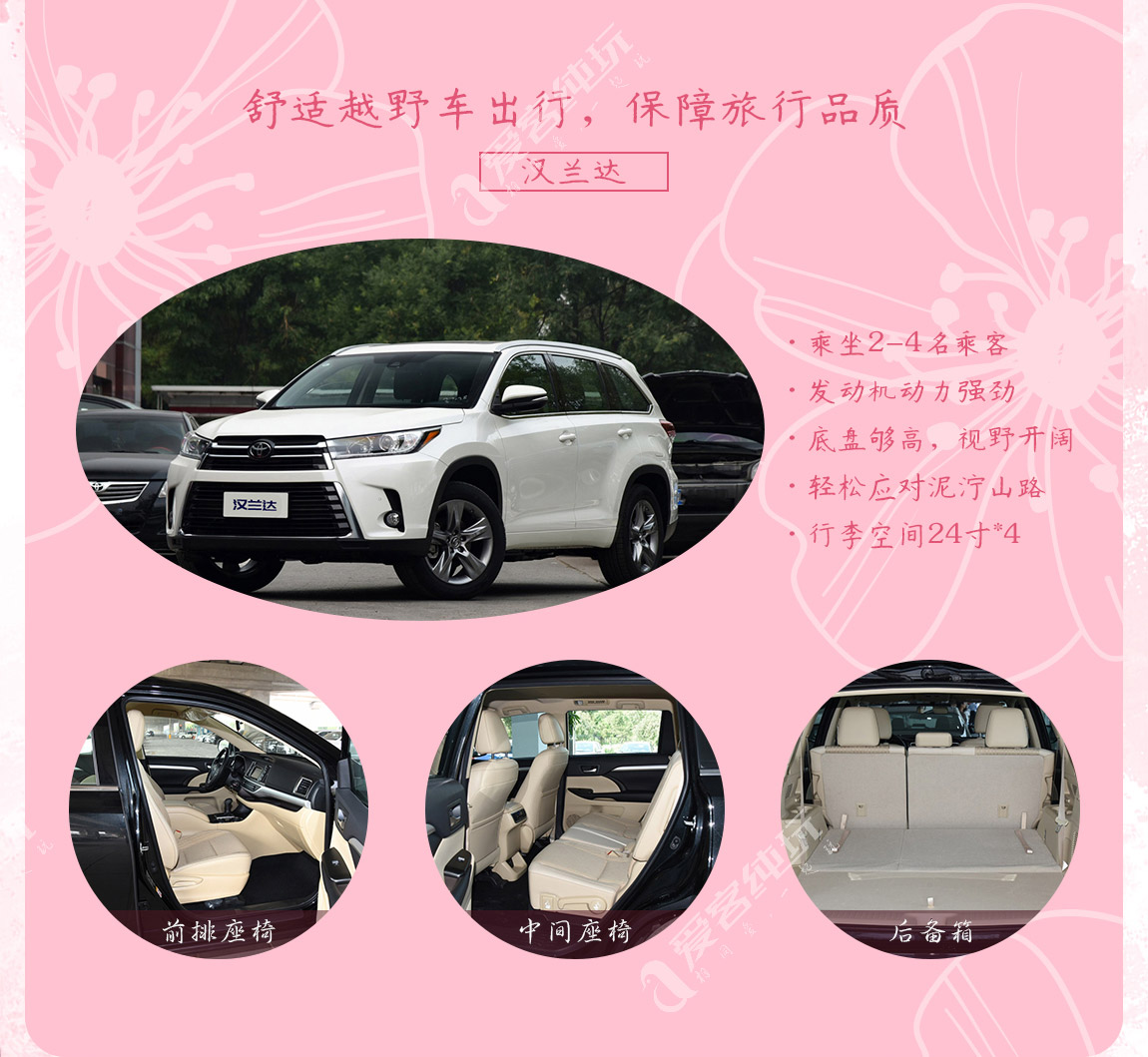 藏地尋花_第三部分_03 藏地尋花_第三部分_03