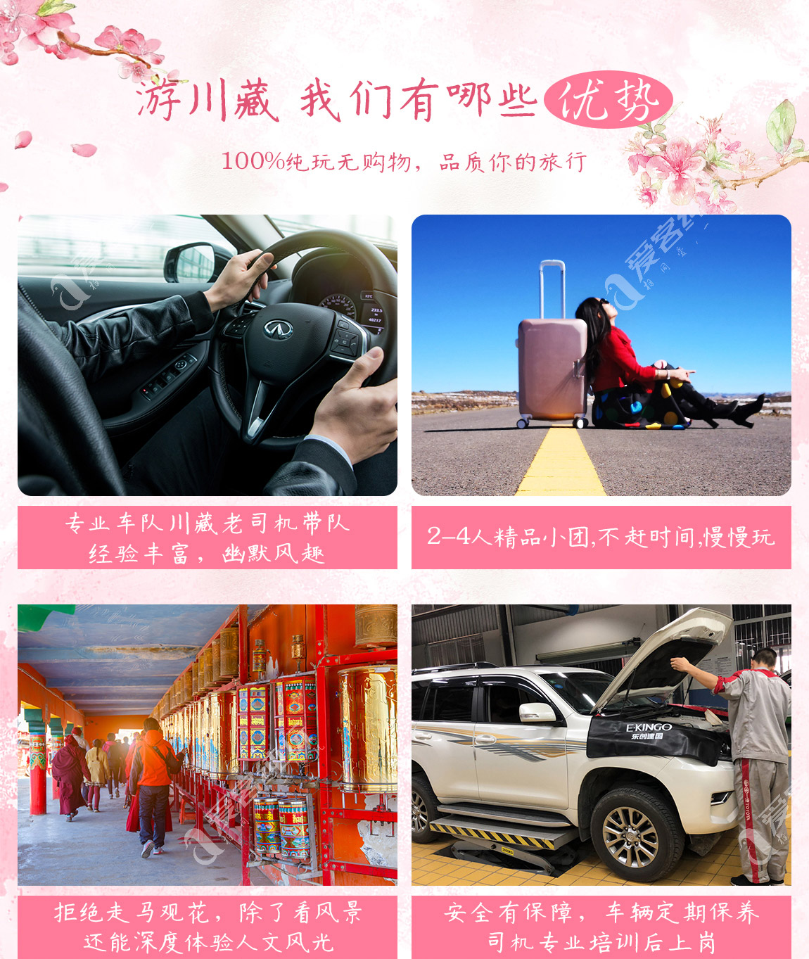 藏地尋花_第二部分_03 藏地尋花_第二部分_03