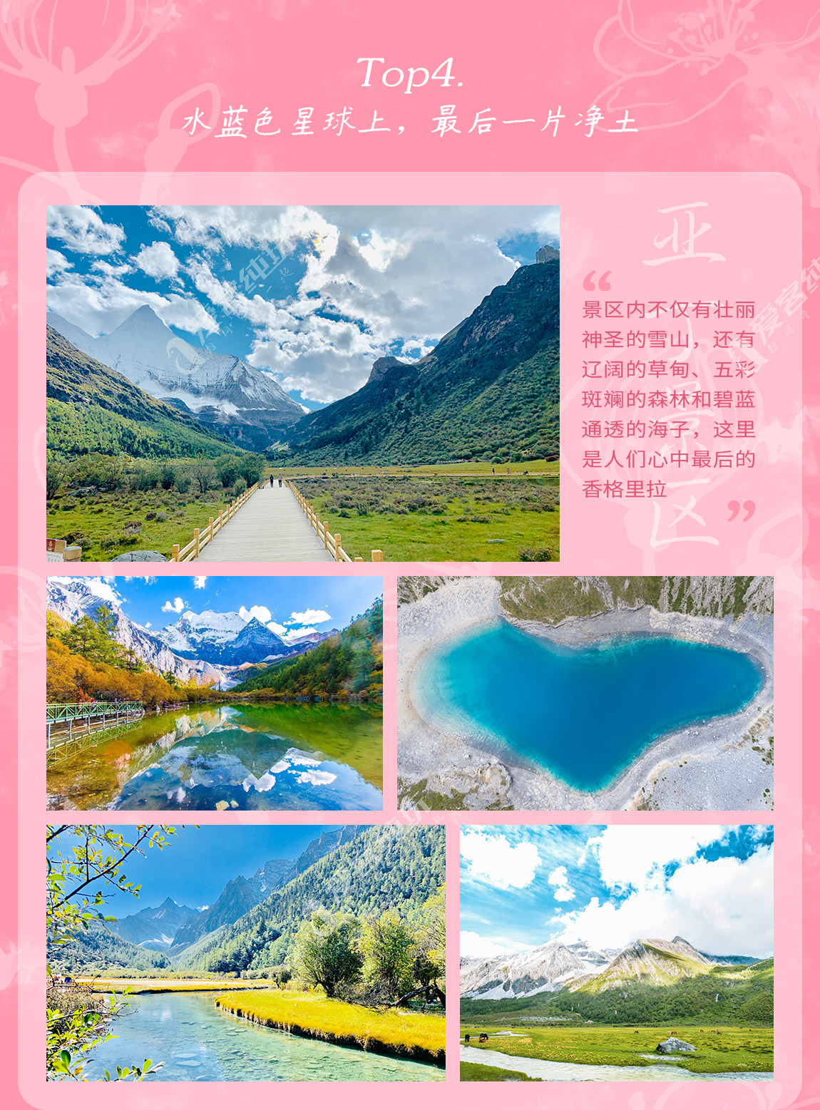 藏地尋花_第一部分_05 藏地尋花_第一部分_05