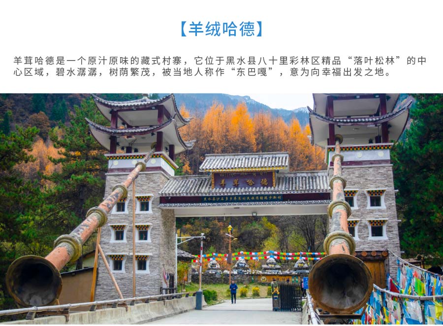 達古冰山二日游_10 達古冰山二日游_10