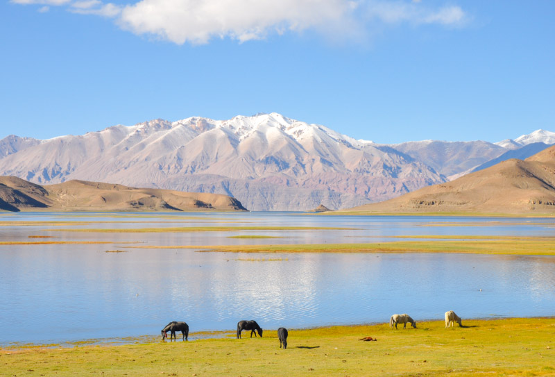 阿里地區(qū) (2)