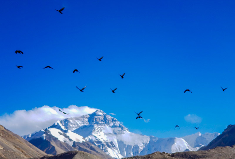 剛走完阿里南線，給想去的朋友一些心得建議