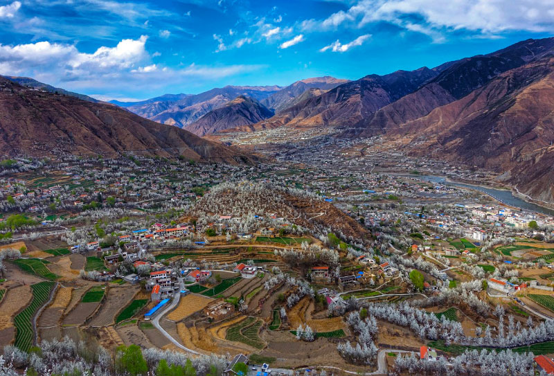 金川梨花節(jié)自駕游賞花攻略