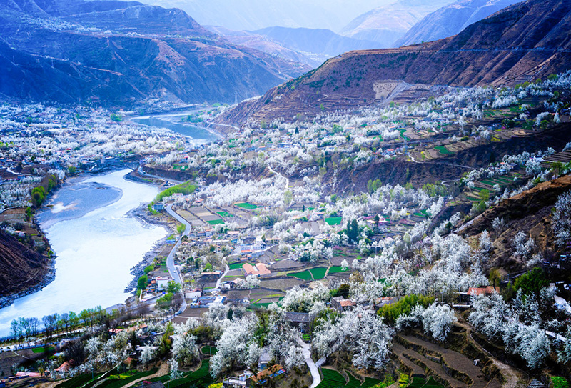 金川梨花 金川梨花