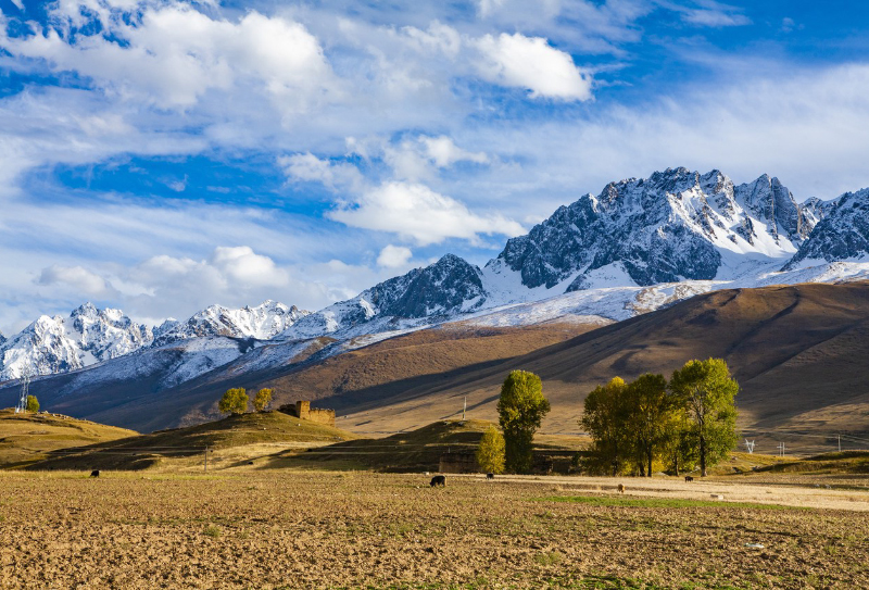馬尼干戈雪山牧場