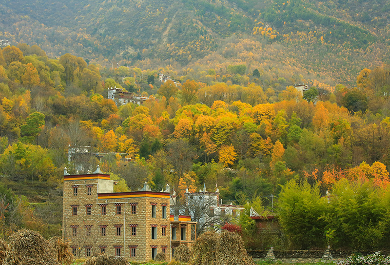 丹巴中路藏寨 (4)