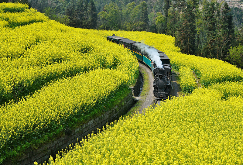 嘉陽小火車 嘉陽小火車
