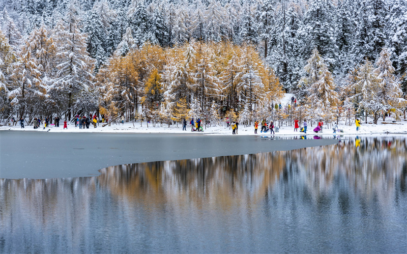成都到畢棚溝包車/拼車攻略2