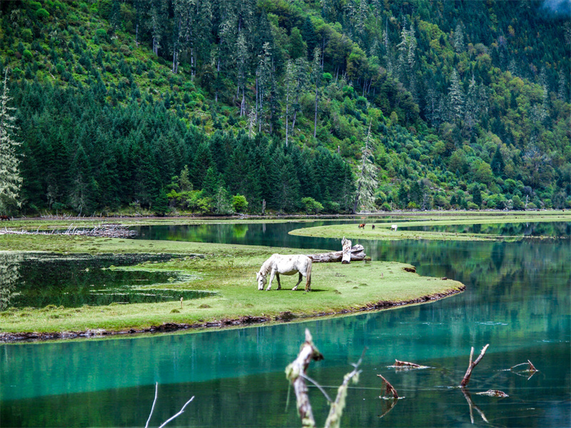 四川康定蓮花湖