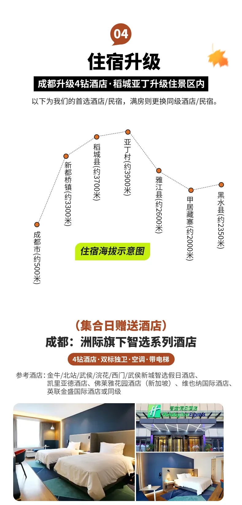 大美黑稻11 大美黑稻11