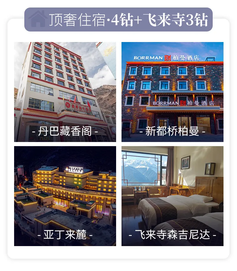 丹稻6天麗江8 丹稻6天麗江8