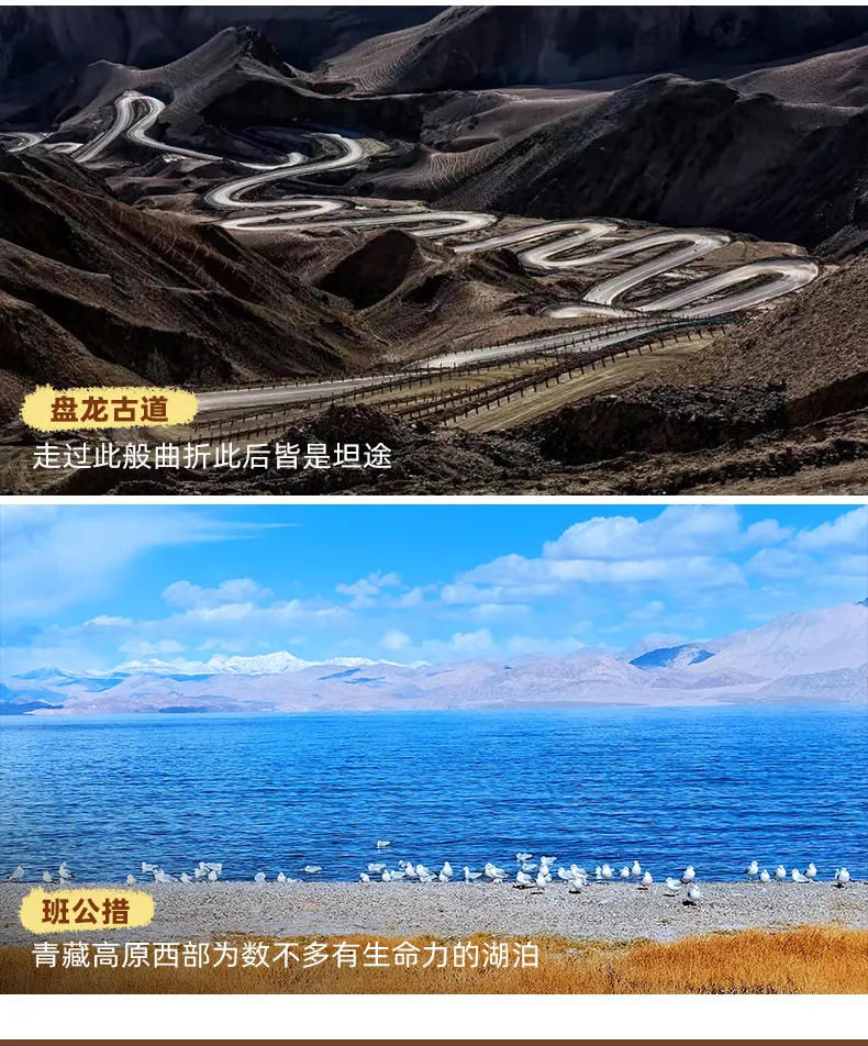 縱穿羌塘11 縱穿羌塘11