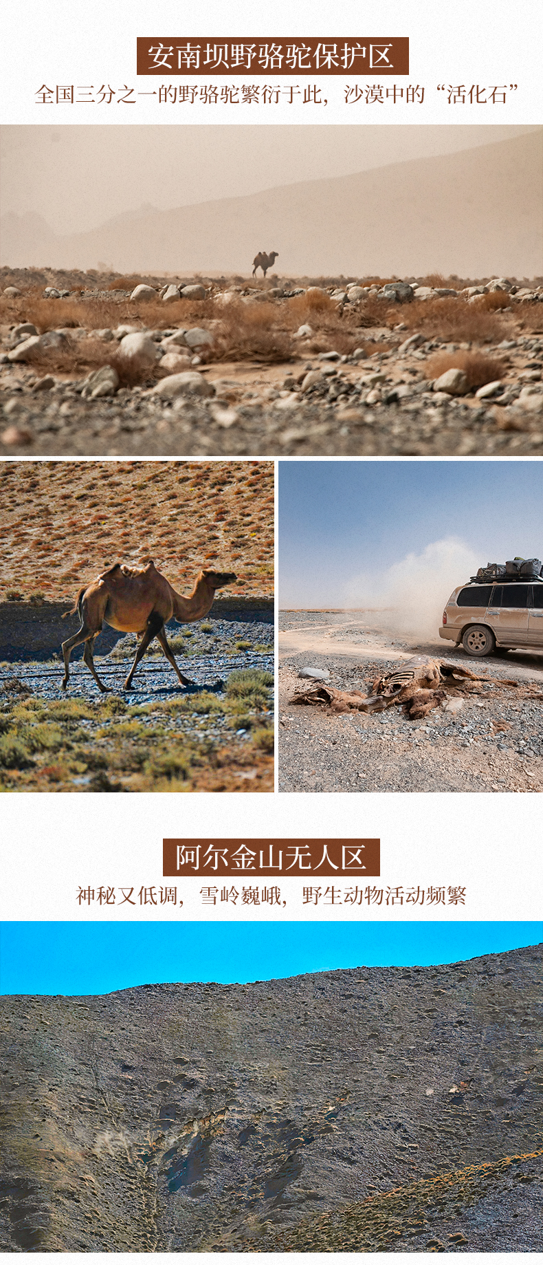 羅布泊穿越3_01 羅布泊穿越3_01