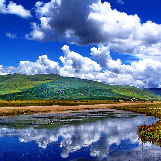 若爾蓋草原旅游注意事項