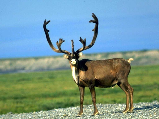 康定&mdash;&mdash;美麗的聚寶盆