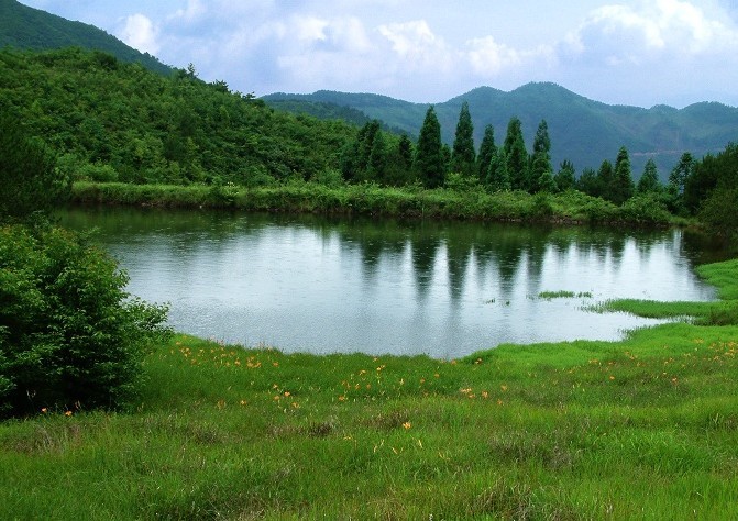 蜀南竹海吃住行