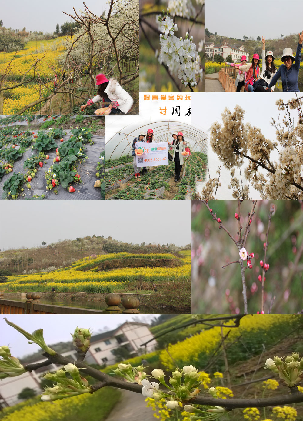 成都周邊賞花攻略