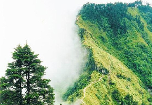 到西嶺雪山露營 邂逅一場浪漫