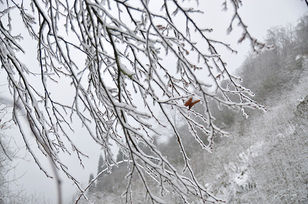 成都周邊徒步一日游景點(diǎn)