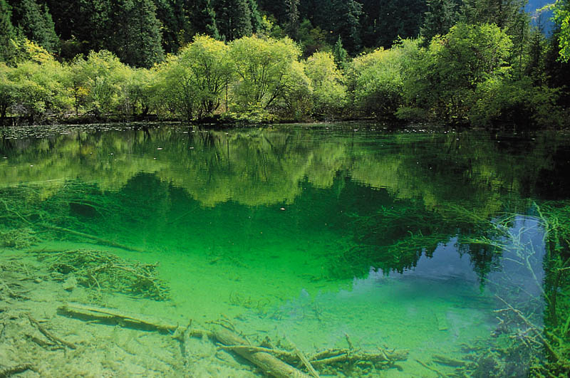 去四川牟尼溝玩怎么樣？